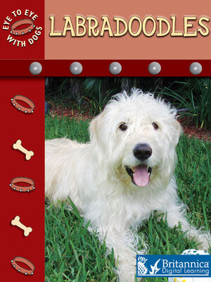 cover image of Labradoodles